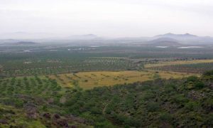 Cerrajeros Campo Nubla 24 horas